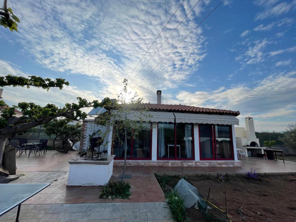 Country Lux Apartment Near Airport Markópoulon Exterior foto